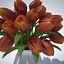 bouquet di tulipani v5