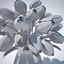 bouquet di tulipani v5