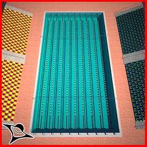 Olympic Swimming Pool