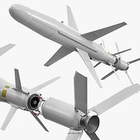 Naval Strike Guided Missile with Folding Fins