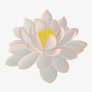 3D lily flower water