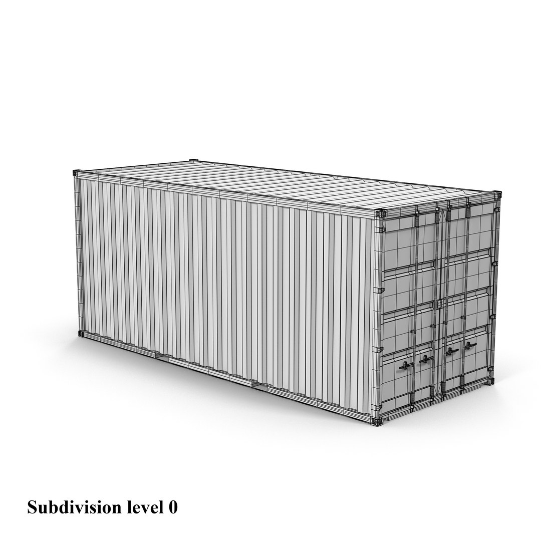 Max Transport 20 Ft Container