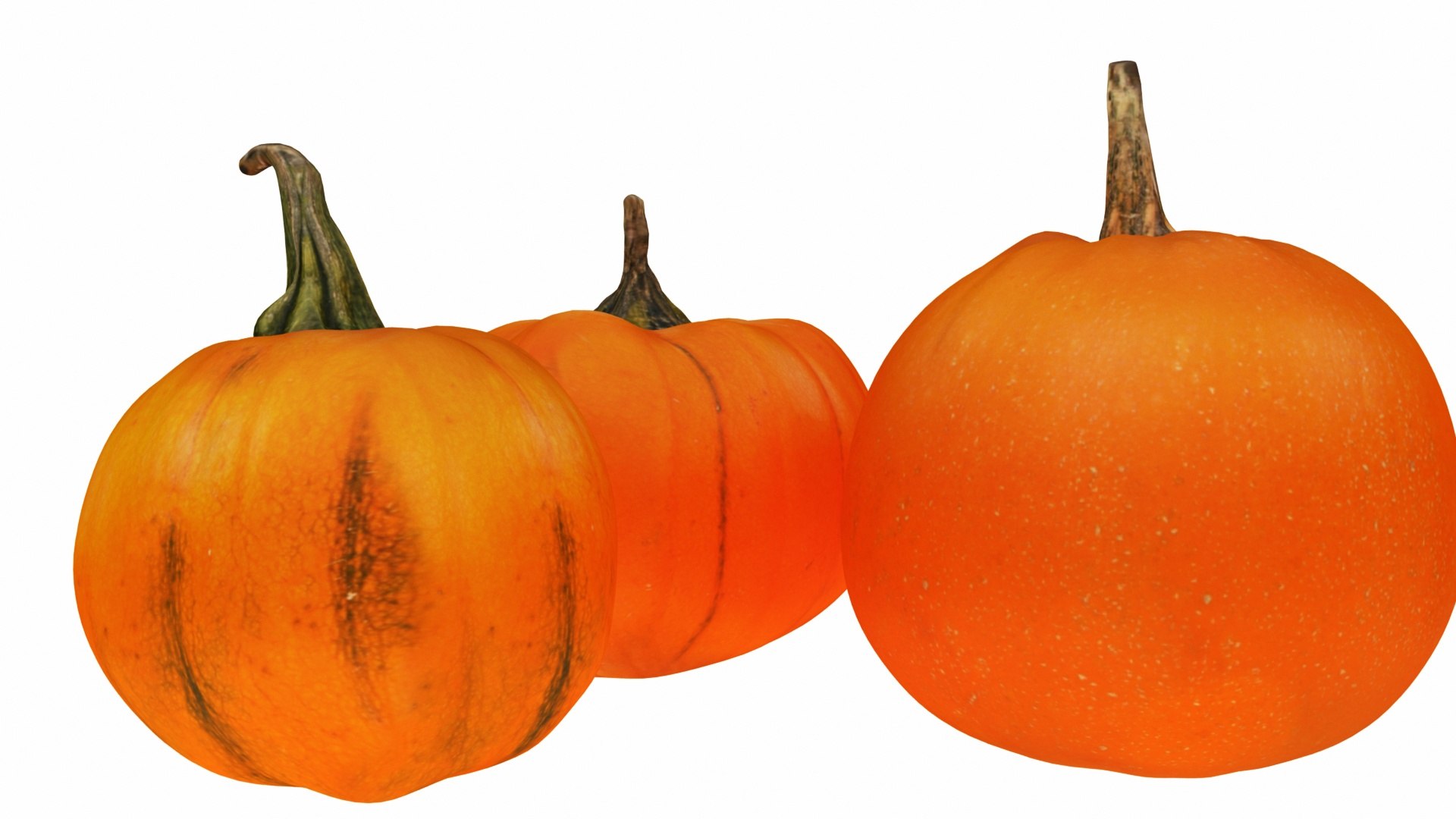vegatable 3D model https://p.turbosquid.com/ts-thumb/fJ/2ut4Z9/5MIZDIMP/0pumpkin2/jpg/1588605375/1920x1080/fit_q87/0f06c0e89dfca0ba305c39be1c816bb8c8d7dd2f/0pumpkin2.jpg