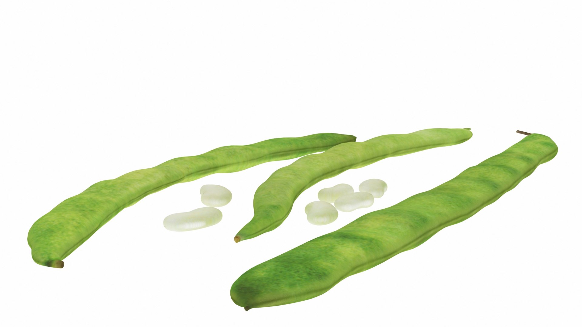 vegatable 3D model https://p.turbosquid.com/ts-thumb/fJ/2ut4Z9/8itFlSdA/0beans3/jpg/1588605289/1920x1080/fit_q87/bef68e8e55997bc08d4f4ad93c7dd5ea988f5b0a/0beans3.jpg