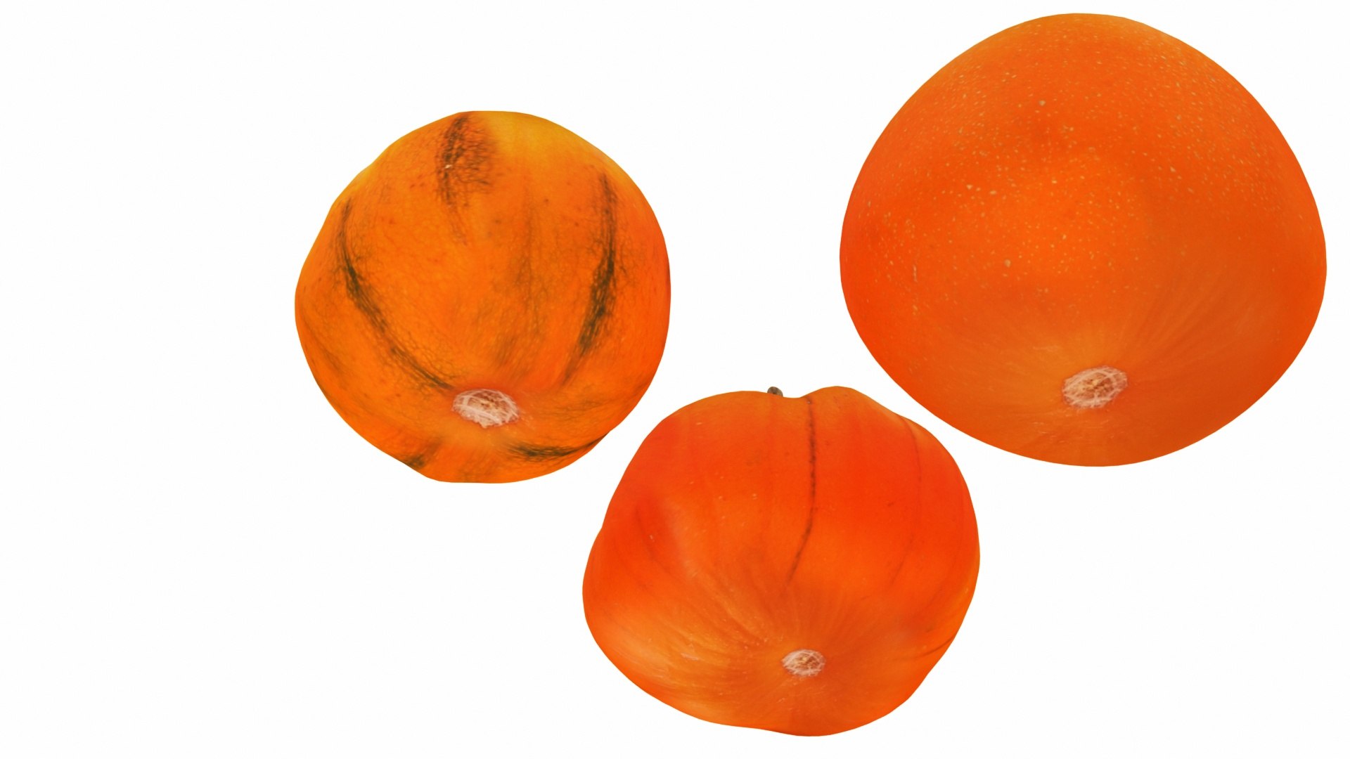 vegatable 3D model https://p.turbosquid.com/ts-thumb/fJ/2ut4Z9/9Y2RGlov/0pumpkin4/jpg/1588605375/1920x1080/fit_q87/e860c3d7369b8b813a0d27fced6ad8b8d17c8261/0pumpkin4.jpg