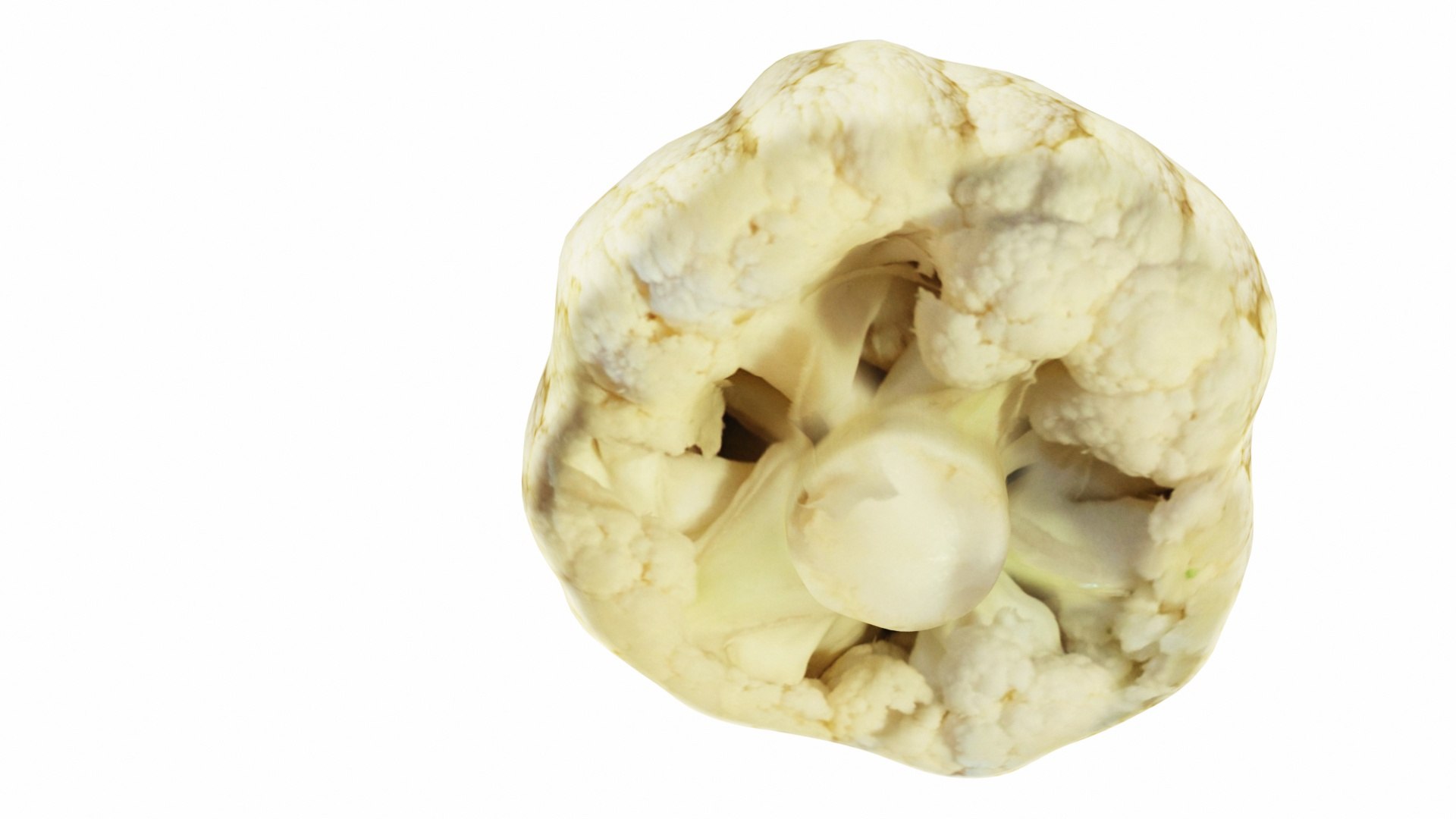 vegatable 3D model https://p.turbosquid.com/ts-thumb/fJ/2ut4Z9/TJJ2yjHK/0cauliflower51/jpg/1588605343/1920x1080/fit_q87/43e0aa4680b4535d454807b42559b664598beb16/0cauliflower51.jpg