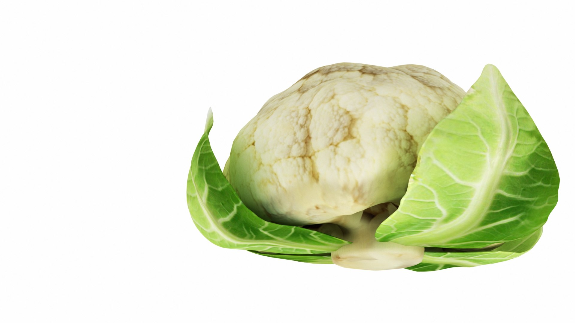 vegatable 3D model https://p.turbosquid.com/ts-thumb/fJ/2ut4Z9/aRlbH12w/0cauliflower2/jpg/1588605343/1920x1080/fit_q87/2bd820303dc12753623051f7eb03ef922aa02f45/0cauliflower2.jpg
