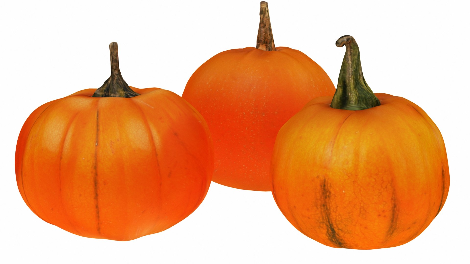 vegatable 3D model https://p.turbosquid.com/ts-thumb/fJ/2ut4Z9/c1SzGdyr/0pumpkin6/jpg/1588605375/1920x1080/fit_q87/f677811653ebfb7d7d660306b525791d467f4c79/0pumpkin6.jpg