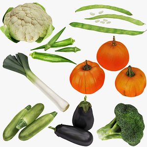 vegatable 3D model