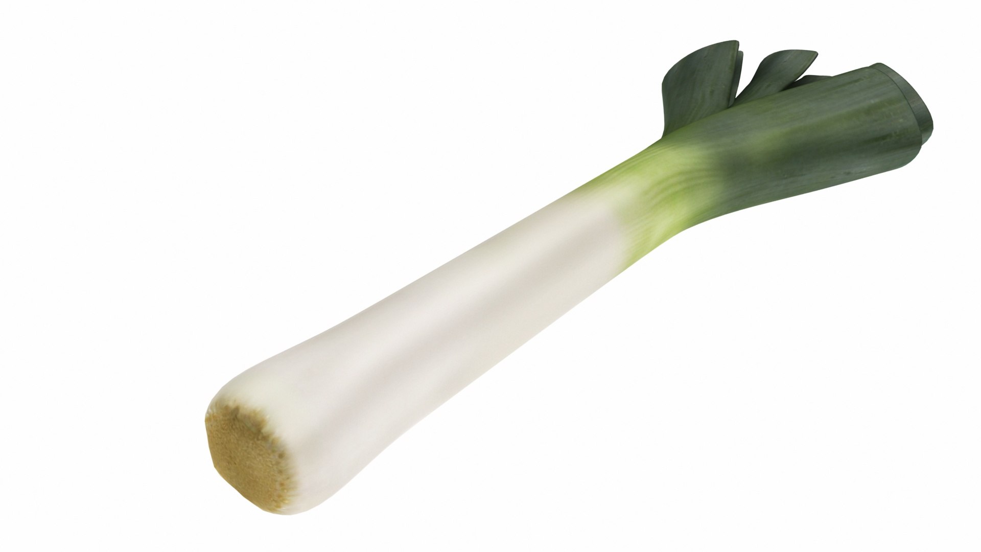 vegatable 3D model https://p.turbosquid.com/ts-thumb/fJ/2ut4Z9/uEfhZe7c/0leek3/jpg/1588605393/1920x1080/fit_q87/780d6b4ec5d81e25fd06d63464459ad962840be4/0leek3.jpg