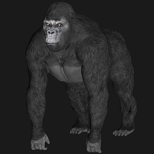Gorilla Rigged Low Poly
