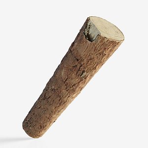 Scanned coniferous firewood 3D