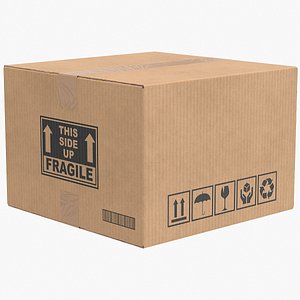 Cardboard Box 4 Closed V1