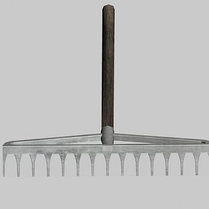 rake 3d model