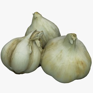 Garlic 03
