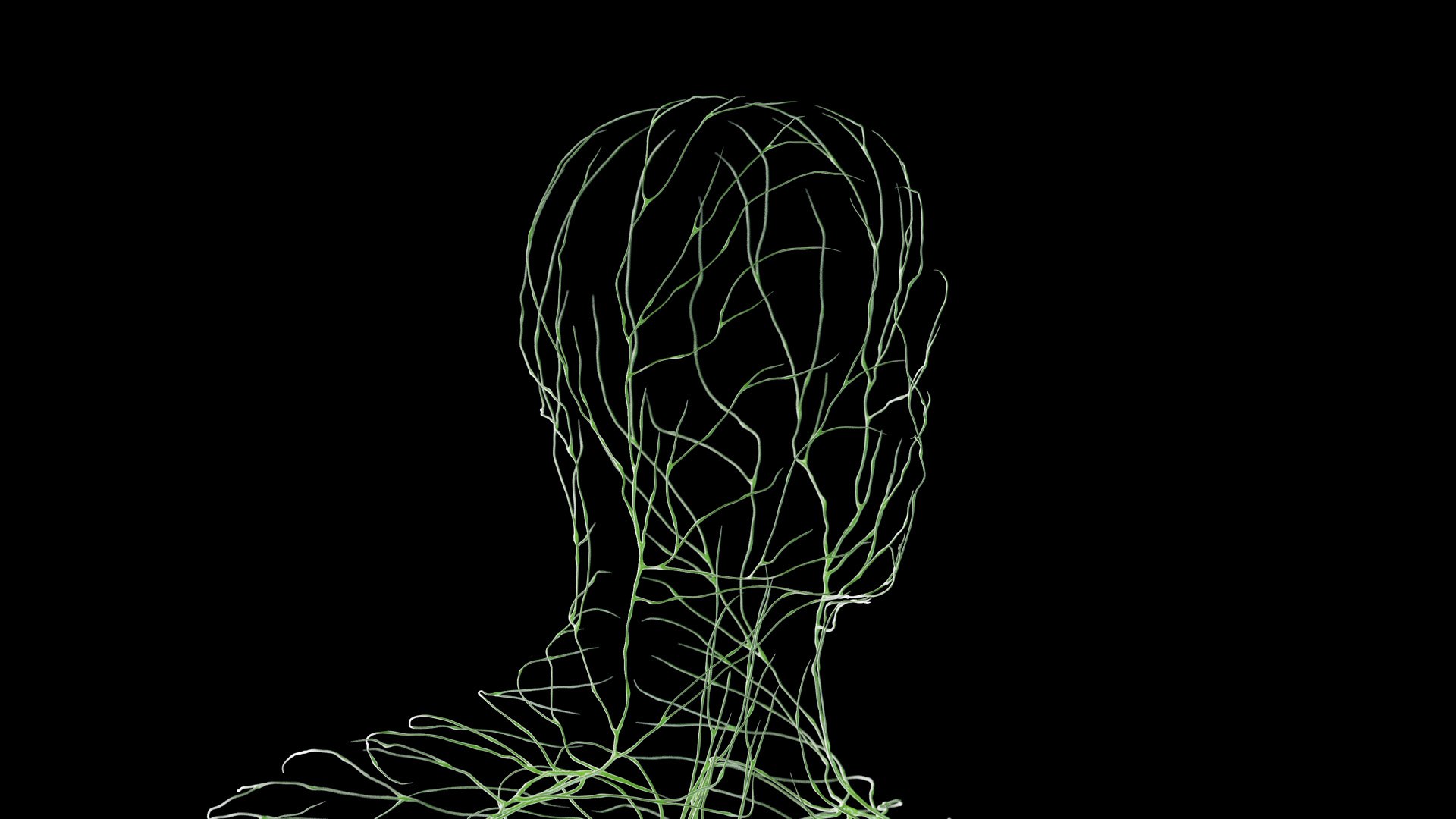Male Full Anatomy Rigged Blender 3D model https://p.turbosquid.com/ts-thumb/fJ/iVgv5m/In/anatomy_v2_male_ps_007/jpg/1696365544/1920x1080/fit_q87/4c9d8eaf62a1ec1fd95e20aeff6813ca929f0f2d/anatomy_v2_male_ps_007.jpg