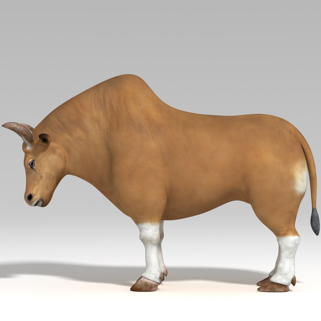 Rig Bull 3d Ma