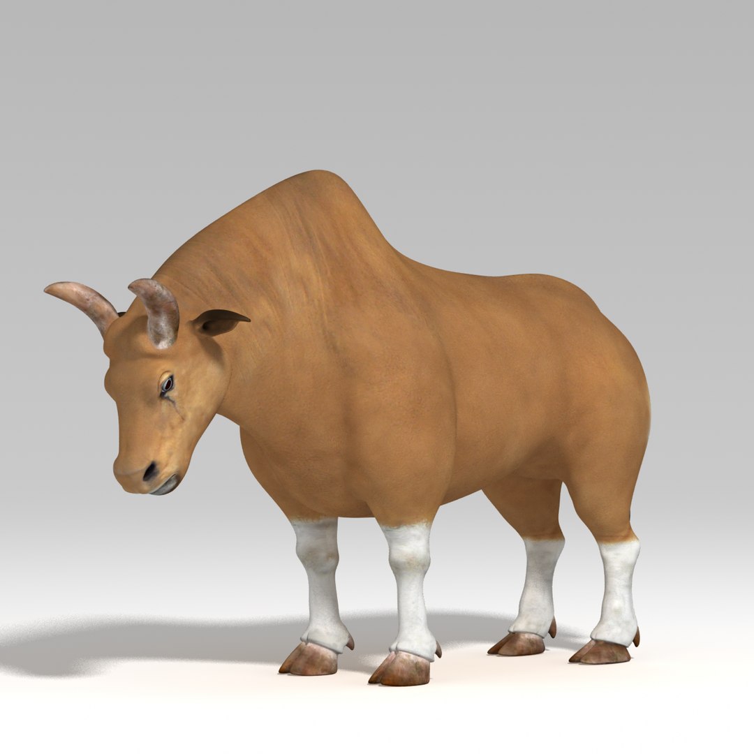 Rig Bull 3d Ma