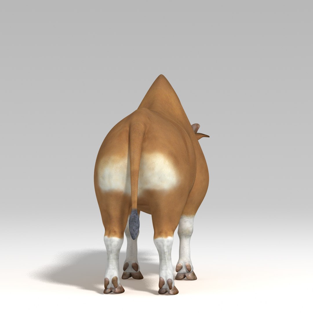 Rig Bull 3d Ma