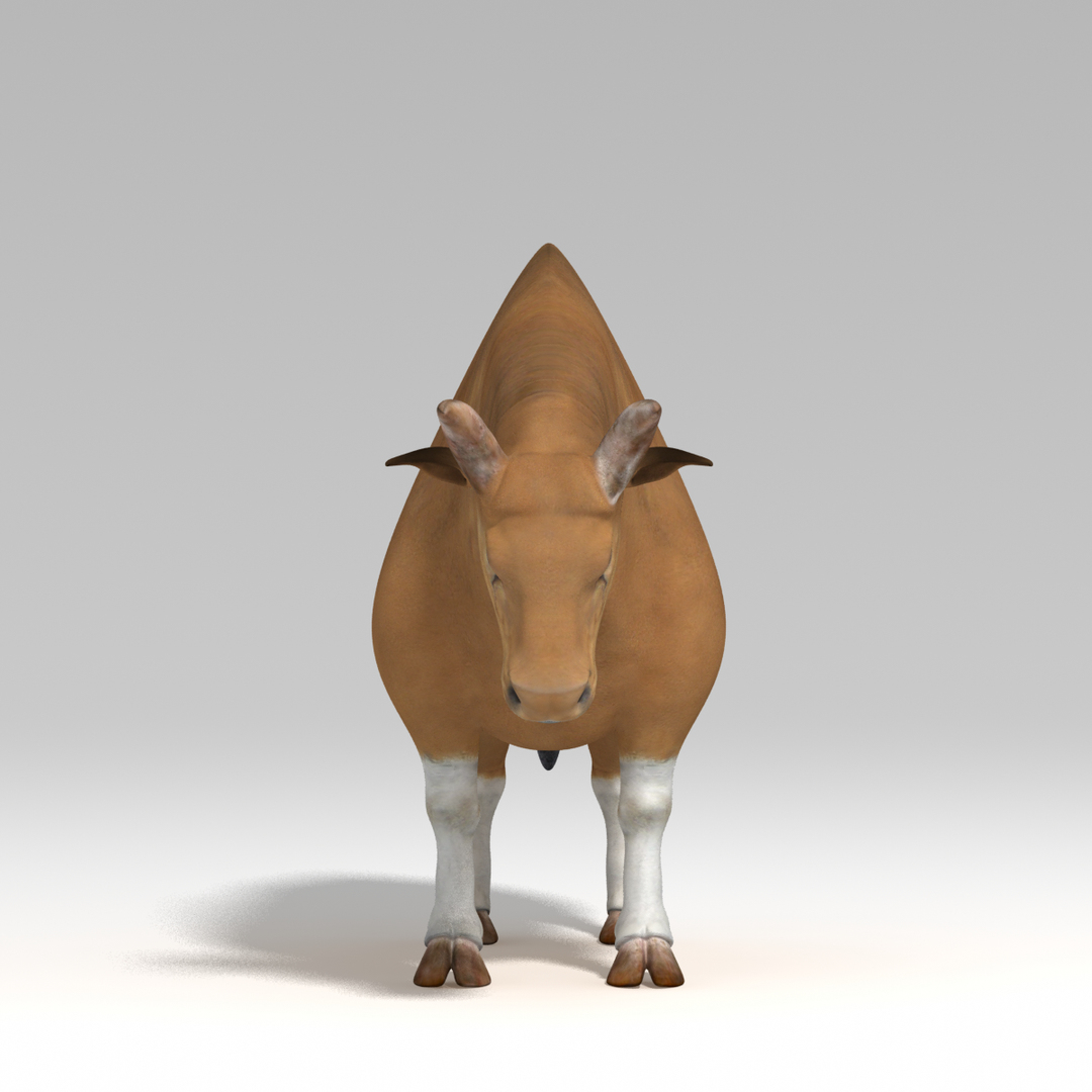 Rig Bull 3d Ma