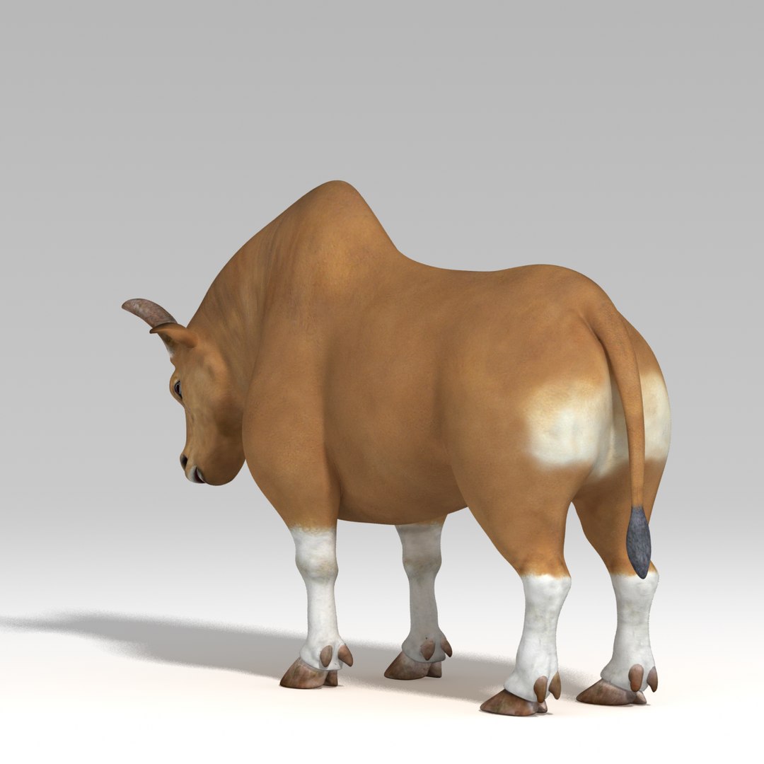 Rig Bull 3d Ma