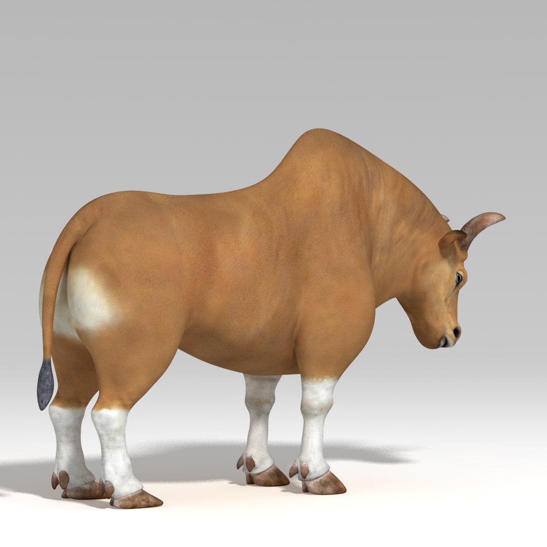 Rig Bull 3d Ma