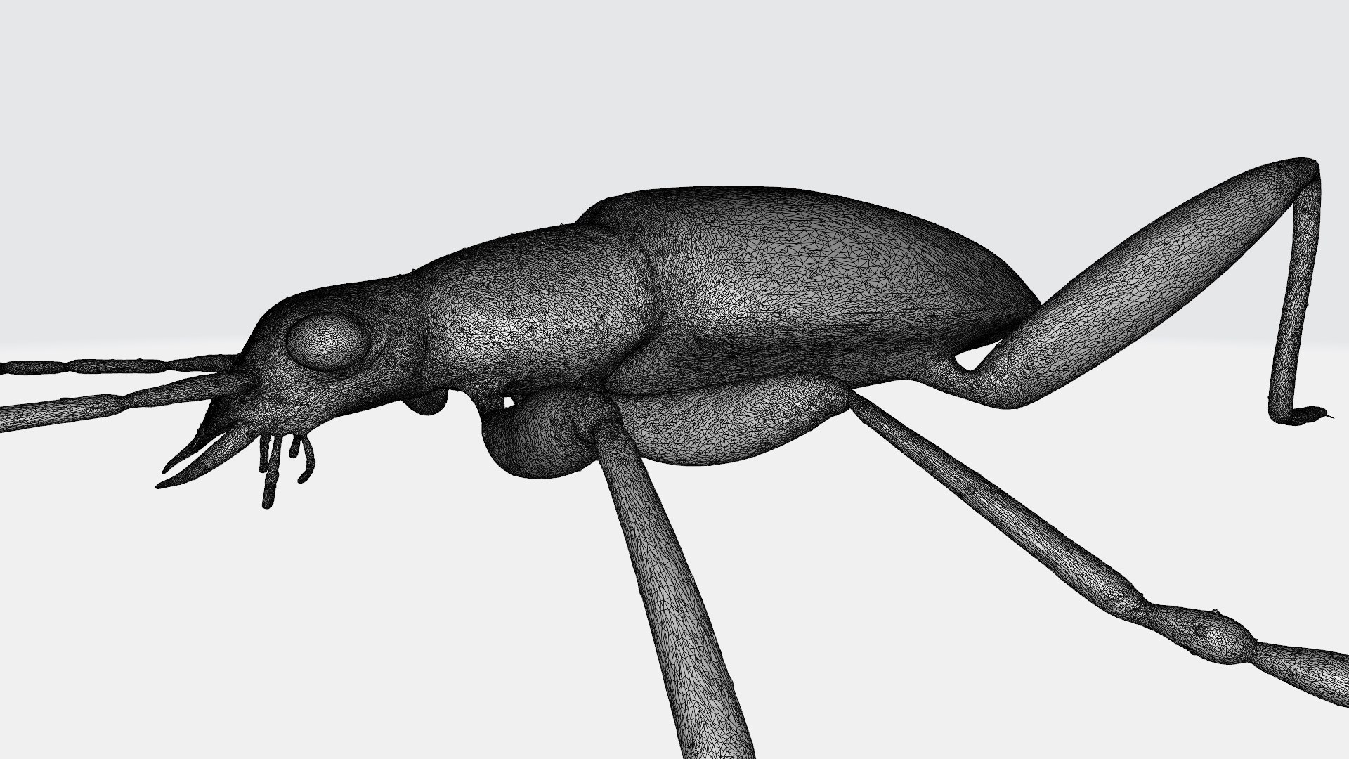 Insects printable 3D model https://p.turbosquid.com/ts-thumb/fJ/y3xQLZ/8V/leafbeetle_w2/jpg/1788903332/1920x1080/fit_q87/9936b34a55ea78258799c03a4721c5d65bc1b2f8/leafbeetle_w2.jpg