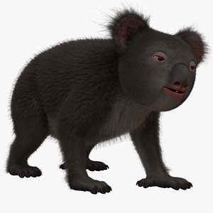 3D model Koala ANIMATED