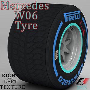 W06 Wet Rear tyre