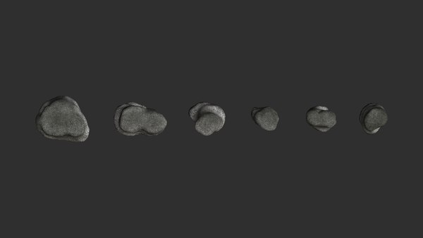 modelo 3d Short Flat Rocks - Rough 1 gratis - TurboSquid 1980828