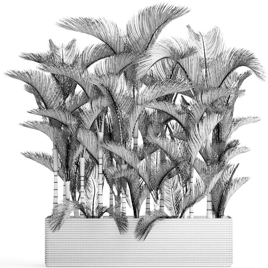 tropical plants 3D model https://p.turbosquid.com/ts-thumb/fK/8DUDvi/ZcYlycxU/dypsislutescens09/jpg/1507196181/1920x1080/fit_q87/47f59afa00bfc317b654e1956b1f419ab888aab9/dypsislutescens09.jpg