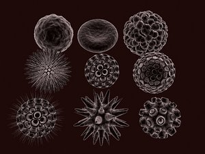 Pollen collection