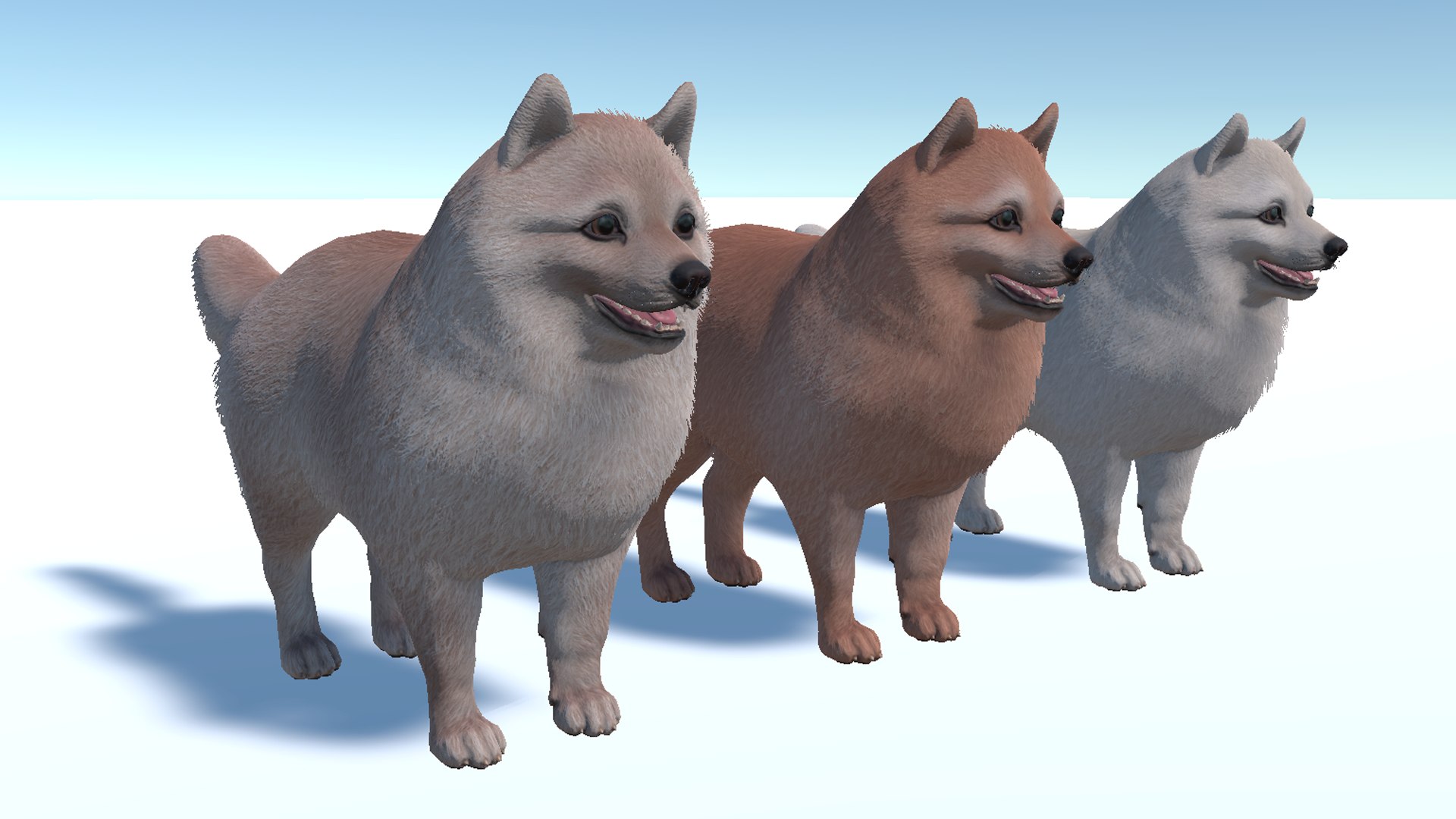 3D Dog - Spitz https://p.turbosquid.com/ts-thumb/fK/SxjoqH/PA/3/png/1713961859/1920x1080/fit_q87/534bc438975842573af53dda3cf49f8ed874fc90/3.jpg