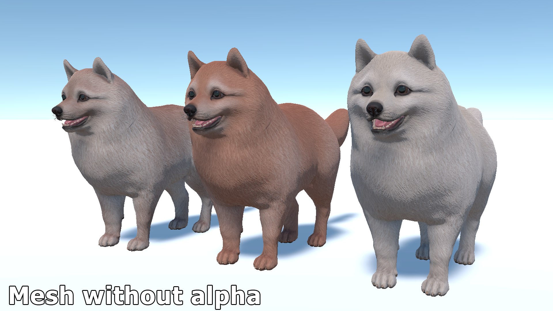 3D Dog - Spitz https://p.turbosquid.com/ts-thumb/fK/SxjoqH/Wo/7/png/1713961864/1920x1080/fit_q87/bdddc6e4990fce7b272eec802e8e3a371e59f2d6/7.jpg