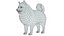 Perro - Pomerania