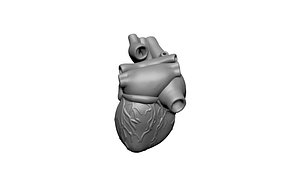 3D heart man statue