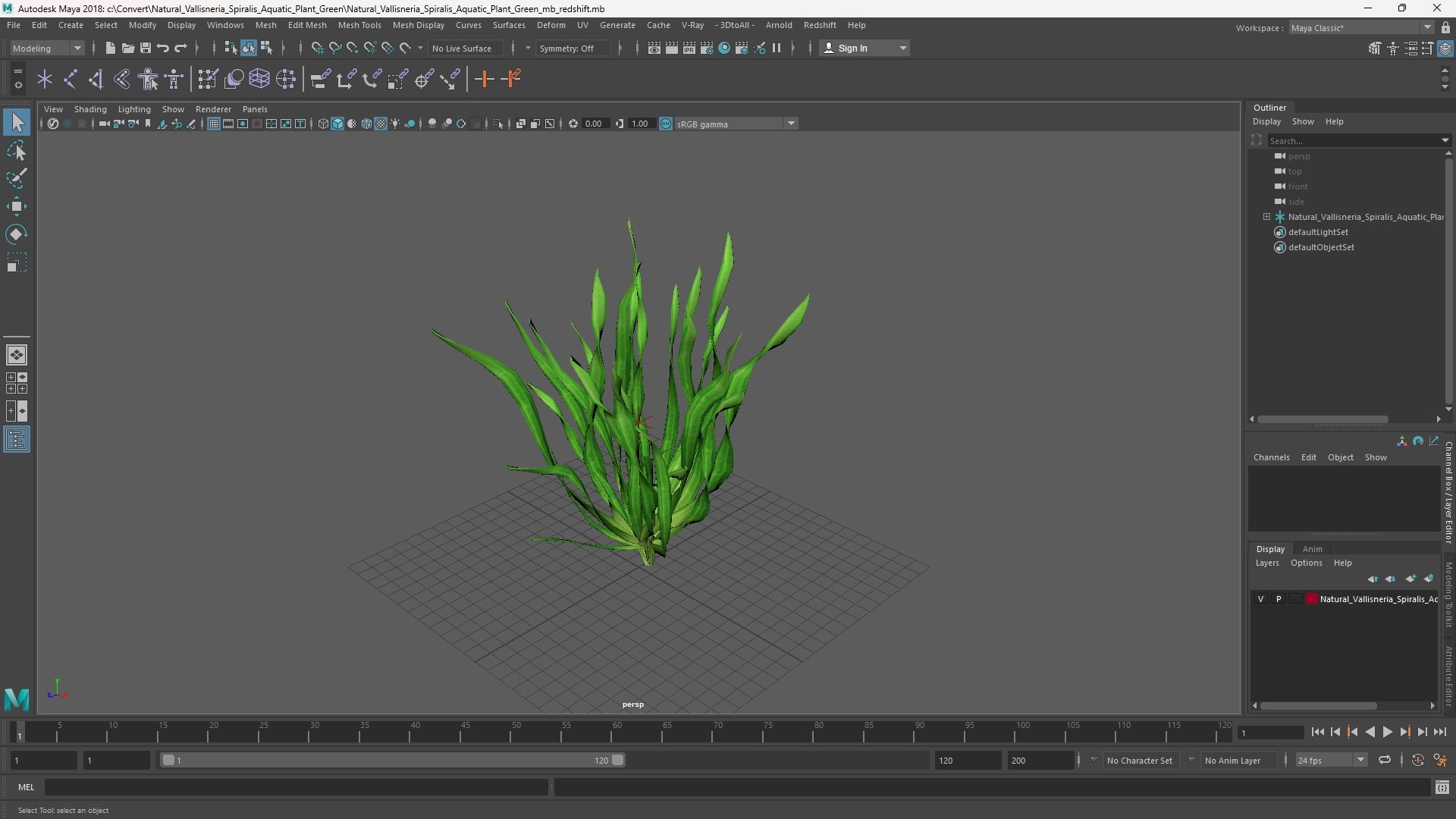 3D Natural Vallisneria Spiralis Aquatic Plant Green model https://p.turbosquid.com/ts-thumb/fK/kSjsbe/RK/natural_vallisneria_spiralis_aquatic_plant_green_1002/jpg/1768574130/1920x1080/fit_q87/9589fcad96ffe44a1f4ebc8589b59e3590a36741/natural_vallisneria_spiralis_aquatic_plant_green_1002.jpg