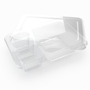 Transparent Plastic Food Container