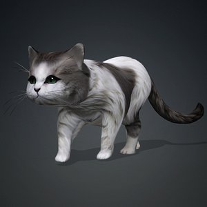 3D Cat-A2