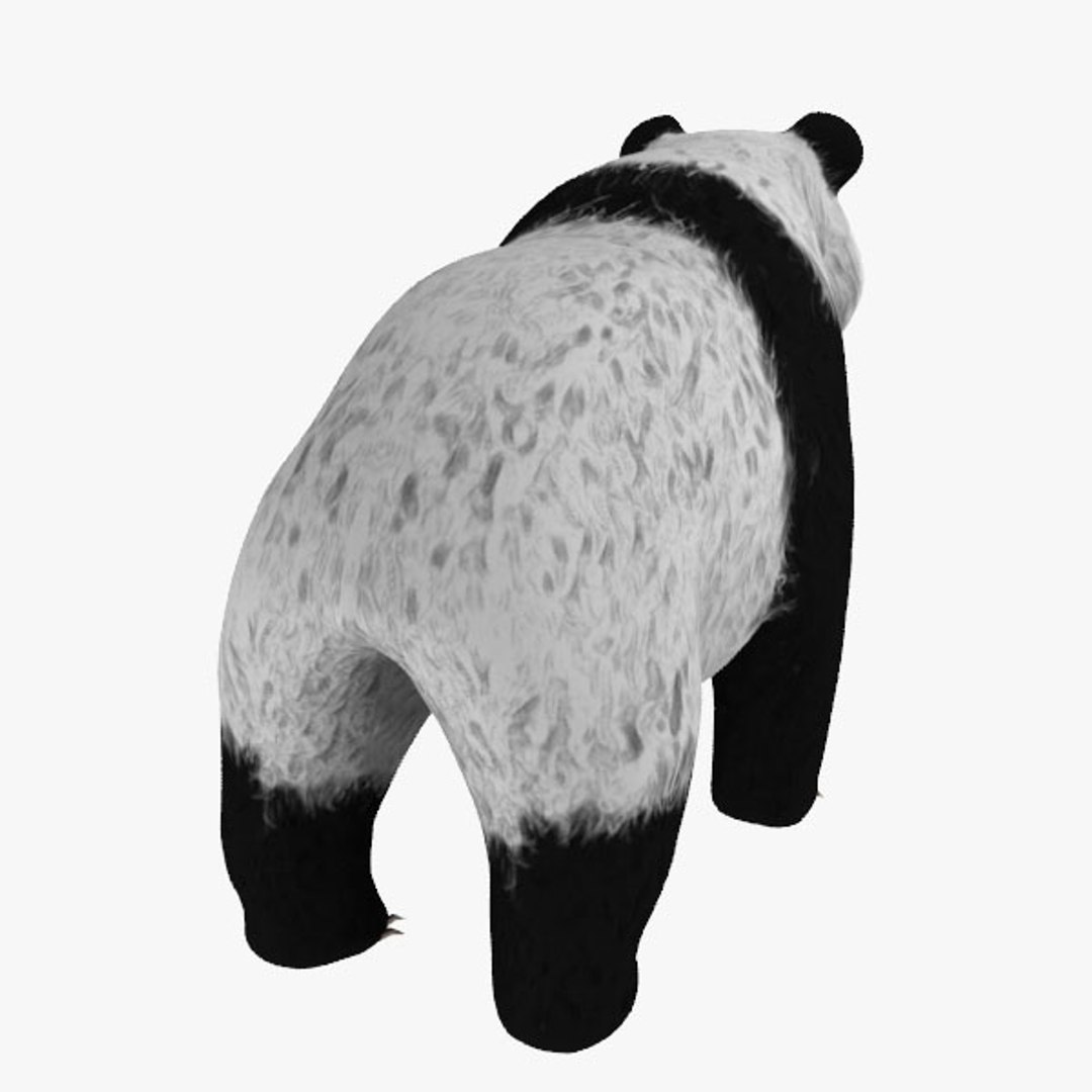 3dsmax panda https://p.turbosquid.com/ts-thumb/fK/wVJhbB/IfOFFNQD/panda04/jpg/1371068258/1920x1080/fit_q87/7b3956387e81946ba7a26f3083b66965b45d3fc9/panda04.jpg
