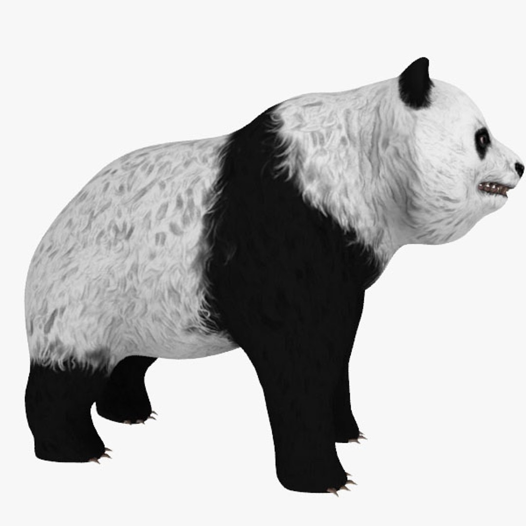 3dsmax panda https://p.turbosquid.com/ts-thumb/fK/wVJhbB/vao5fPKL/panda05/jpg/1371068258/1920x1080/fit_q87/2a23a8be2132198178f8f6b9c357302080eeec09/panda05.jpg