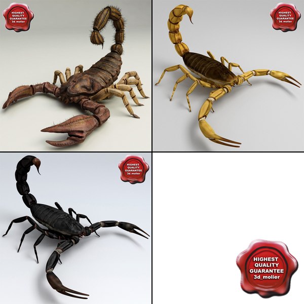 obj scorpions set modelled