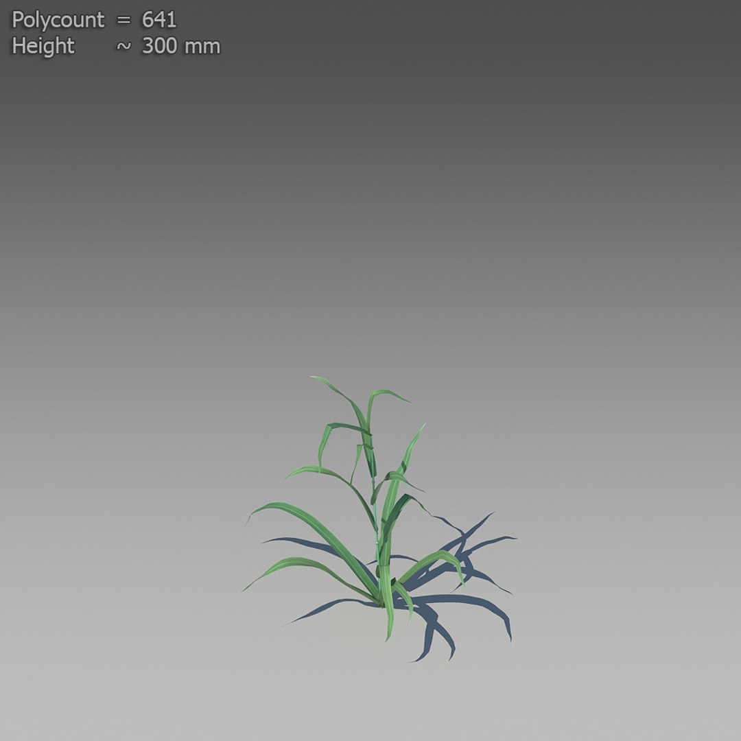 3d 18 wheat https://p.turbosquid.com/ts-thumb/fK/zeH5NM/4o8xlt1v/ts_preview_wheat_001_14/jpg/1463816242/1920x1080/fit_q87/49926009ad16fa364a523f67c91edcf68a3ad141/ts_preview_wheat_001_14.jpg