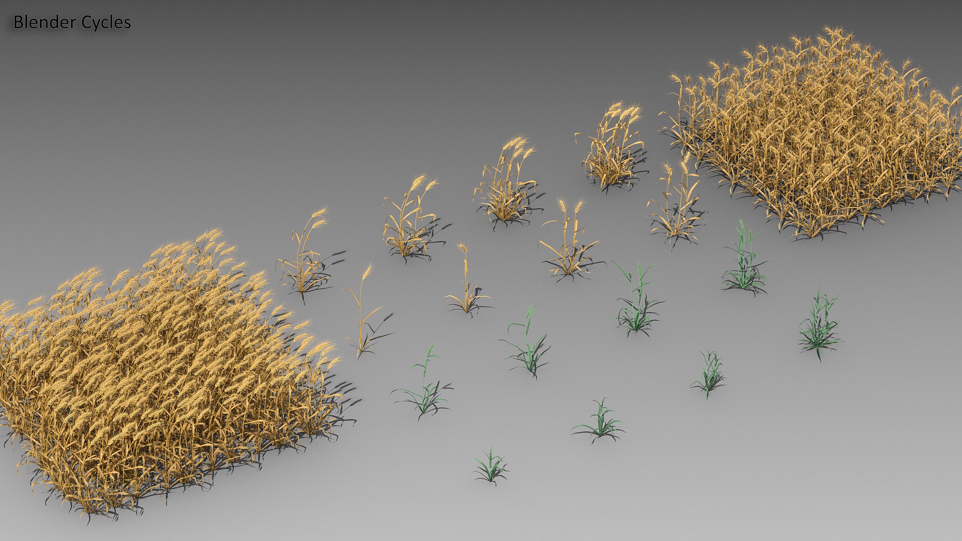 3d 18 wheat https://p.turbosquid.com/ts-thumb/fK/zeH5NM/BV/all_blender_cycles/png/1611237733/1920x1080/fit_q87/6e8645d967d28a8ddfe99fff6f80cedaa5e92b44/all_blender_cycles.jpg
