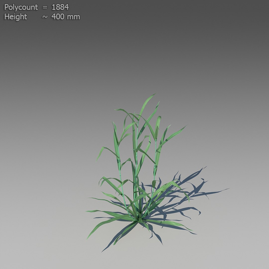 3d 18 wheat https://p.turbosquid.com/ts-thumb/fK/zeH5NM/NFB5o3gU/ts_preview_wheat_001_16/jpg/1463816242/1920x1080/fit_q87/dc17cfec324f739242698e9c4c7bd180cc342851/ts_preview_wheat_001_16.jpg