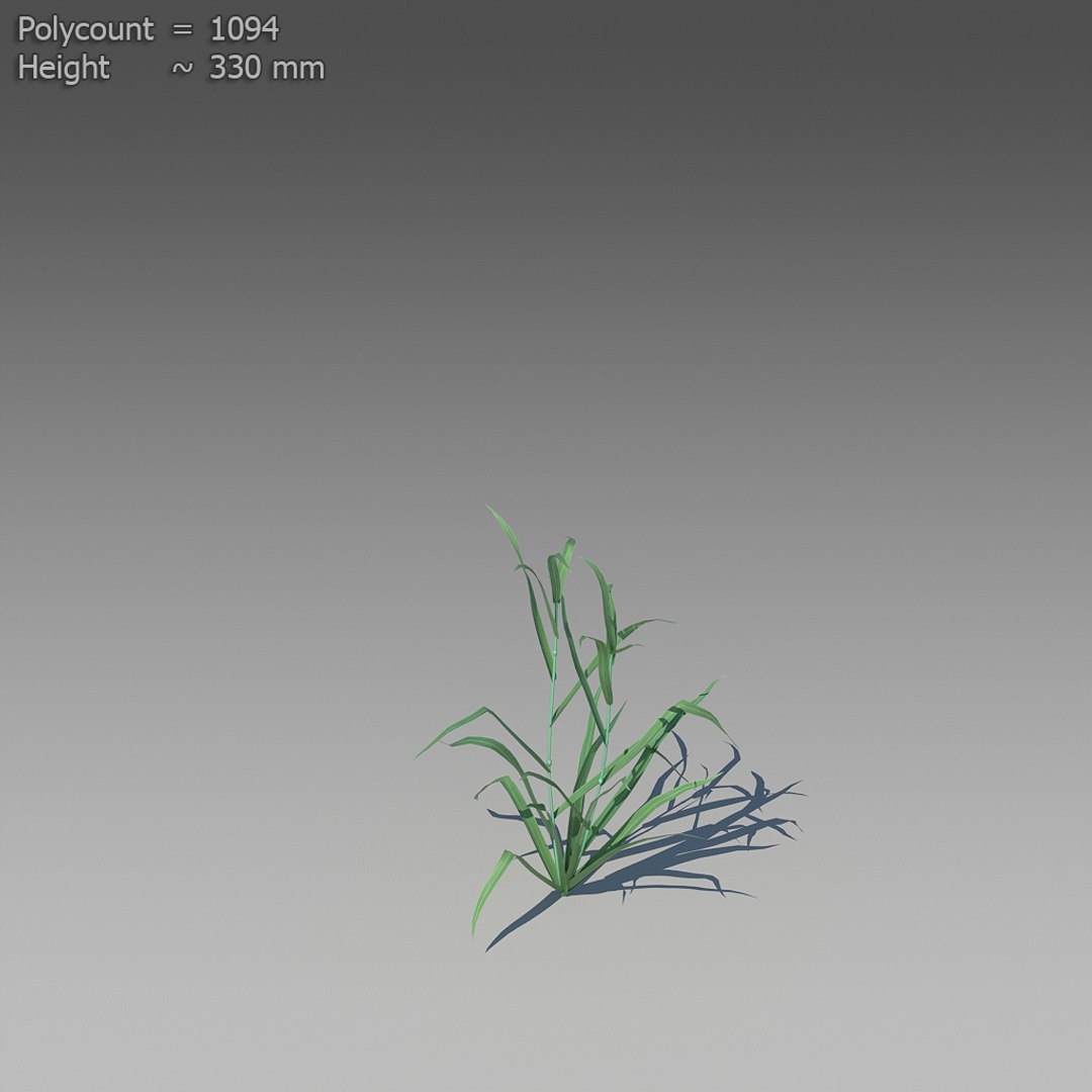 3d 18 wheat https://p.turbosquid.com/ts-thumb/fK/zeH5NM/Y90hTo0g/ts_preview_wheat_001_15/jpg/1463816242/1920x1080/fit_q87/230983f17879a6a46017ca8b0a9ba1da350253c8/ts_preview_wheat_001_15.jpg