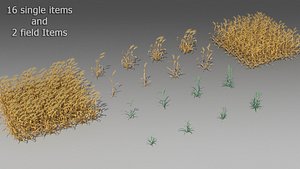 Wheat (18 Items)