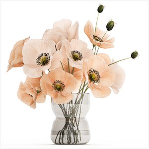 Beautiful Bouquet Of  Wild Flowers Poppy Vase 463 3D model