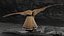 Photorealistic Female Kestrel Bird