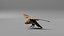 Photorealistic Female Kestrel Bird